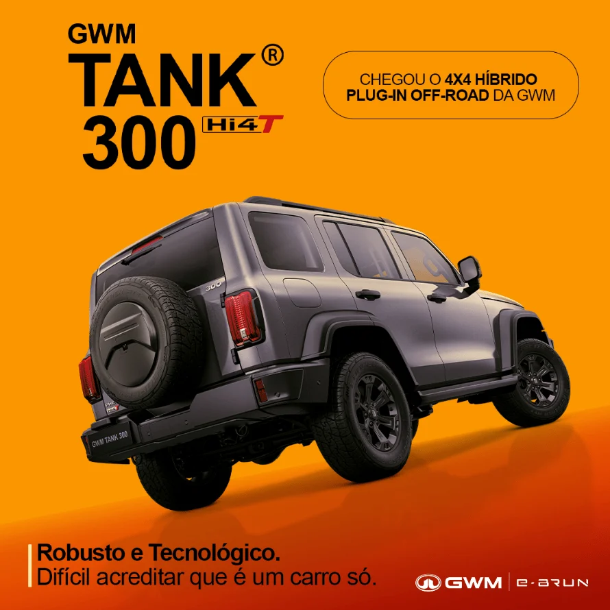 GWM e-BRUN Grupo AF6